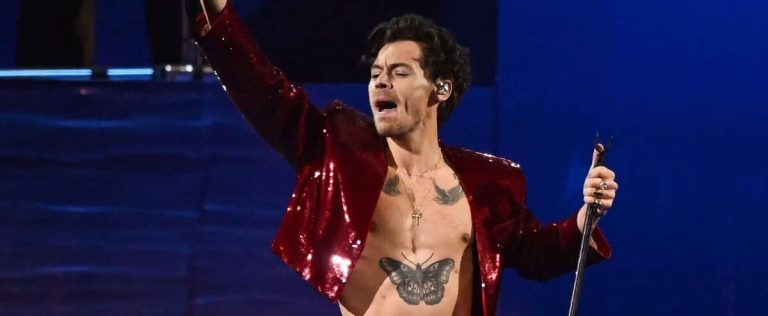 Before going deaf, a finished fan of Harry Styles is full of concerts