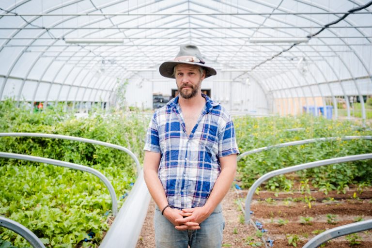 Blue planet, green ideas |  Greenhouses in Russian dolls for vegetables in winter