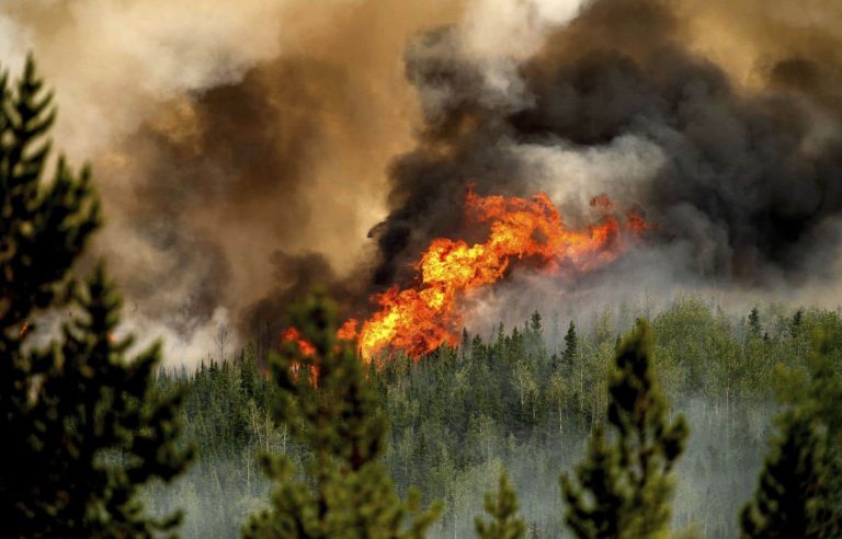 British Columbia already shatters record for area burned this year