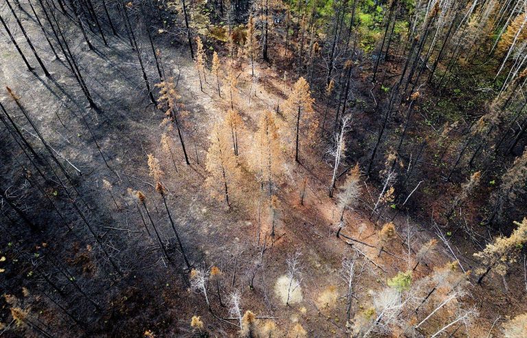 British Columbia firefighter dies fighting wildfire