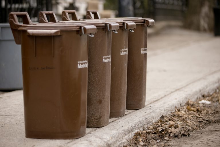 Brown bins |  Landfill sites worthy of technology parks