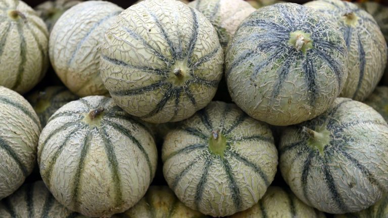 Charentais melons recalled due to exceeding maximum pesticide limits