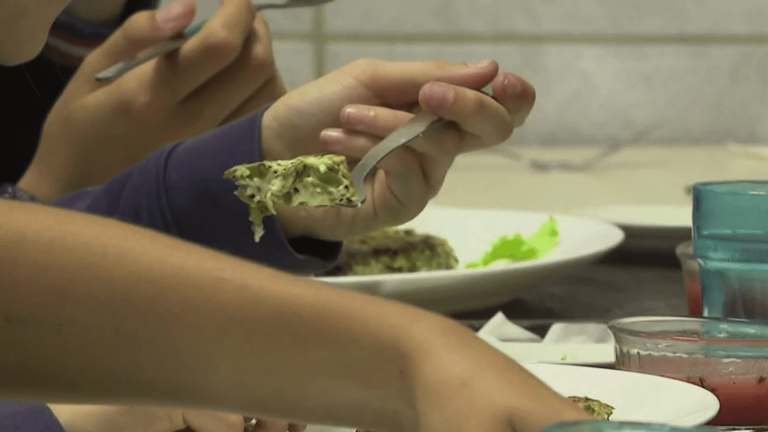 Côtes-d’Armor: pupils of a primary school in Lamballe try seaweed in their dishes