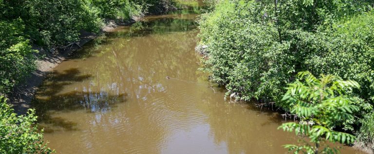 Eight rivers in Quebec with the worst rating of 0: these algae that say a lot about the state of our waterways