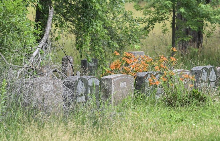 End of the strike at the Notre-Dame-des-Neiges cemetery