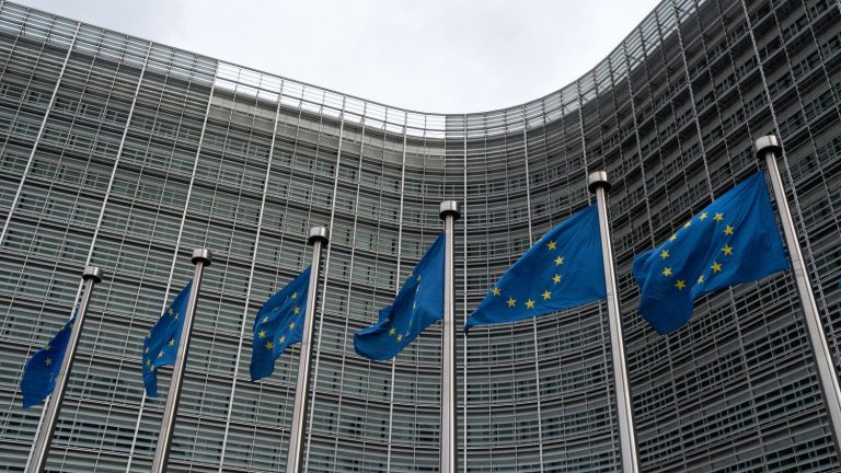 European Commission ignores criticism from Paris over appointment of US expert