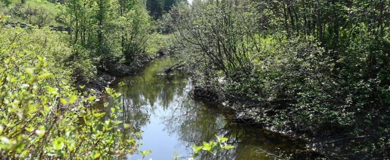 Fewer pesticides elsewhere in Quebec than in Montérégie