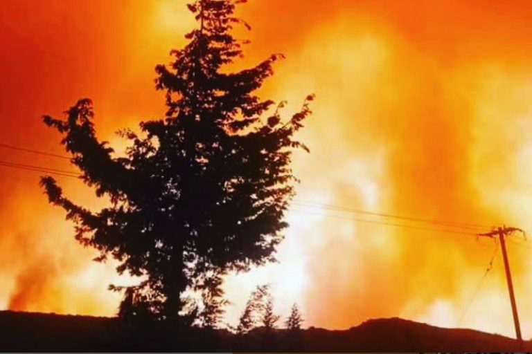 Fires in Greece |  Unprecedented evacuation operation on the island of Rhodes