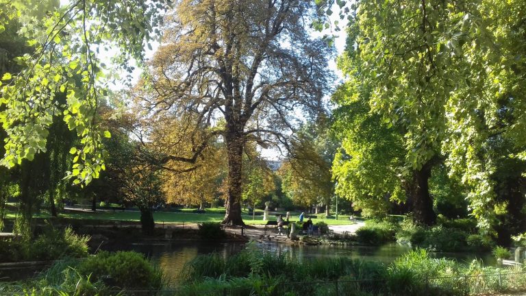 For our health, it is better to live next to trees and greenery