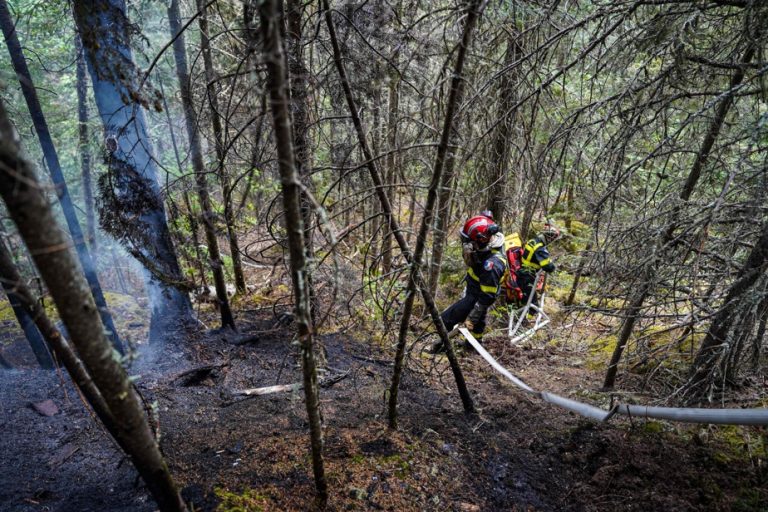 Forest fires |  The intensity of the fires has decreased in the last few days in Quebec