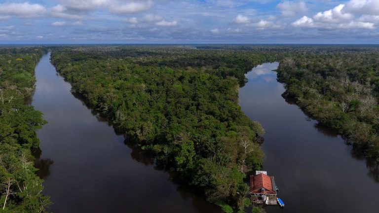 French researchers on a mission on the largest river in the world