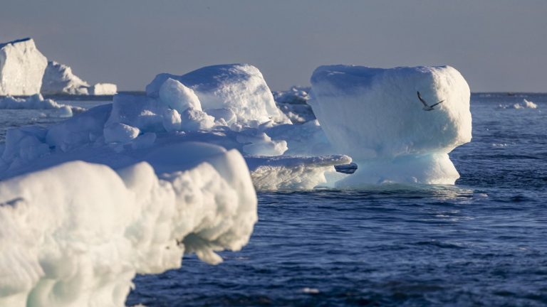 Greenland seems more fragile than expected in the face of climatic variations