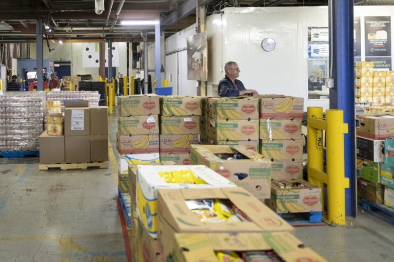 Harvest Montreal |  More than 100,000 snacks will be distributed in day camps