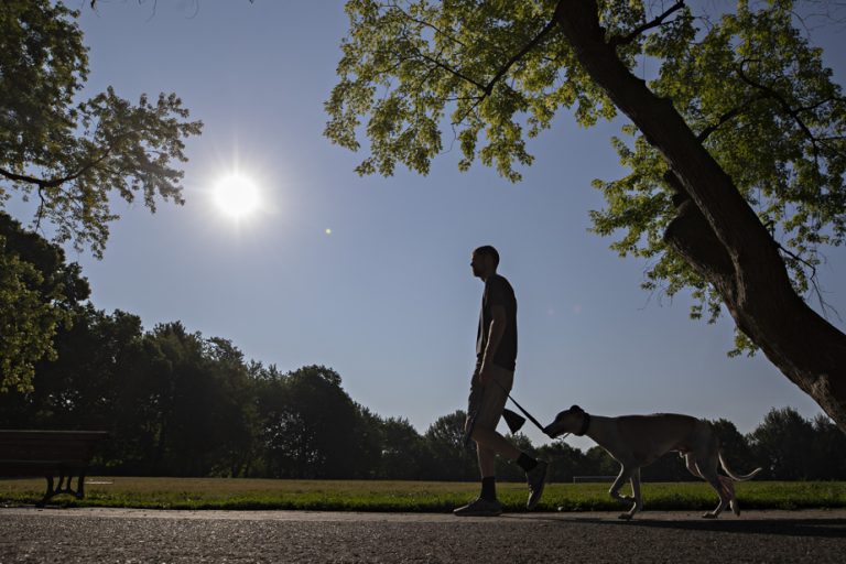 Heat records in the world, boiling temperature expected in Quebec