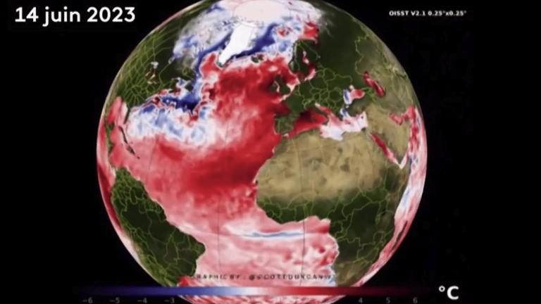 Heatwave: the temperature of the seas and oceans reaches worrying levels