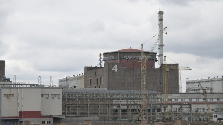 IAEA ‘Making Progress’ in Access to Ukraine’s Zaporizhia Nuclear Power Plant