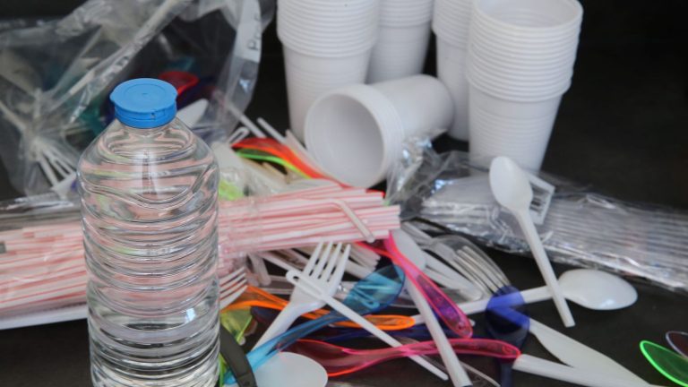 EU directive that bans marketing of single-use plastics not fully enforced, report says