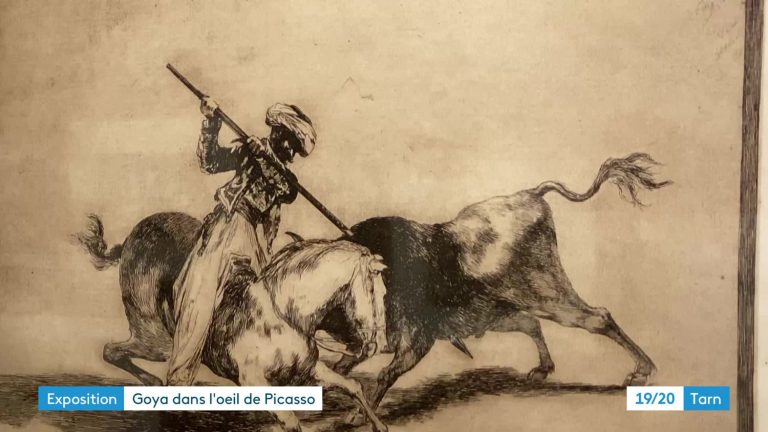 In Castres, the exhibition “Goya in the eye of Picasso” at the Goya museum brings together the works of the two Spanish masters