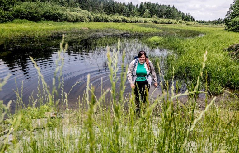 In Coaticook, a wetland restoration project in an agricultural zone