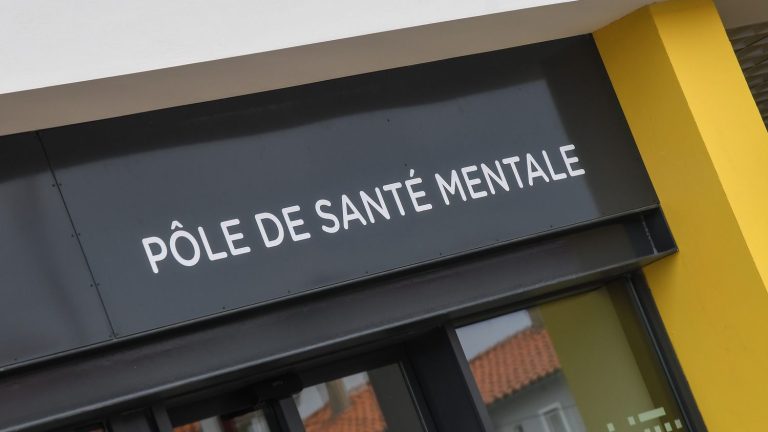 “In Nantes, there is more than a year of waiting to be hospitalized in child psychiatry”, denounces the doctor Philippe Bizouarn