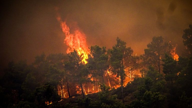 “It doesn’t look like anything anymore, it’s gray and black everywhere”, testifies a volunteer firefighter in Rhodes