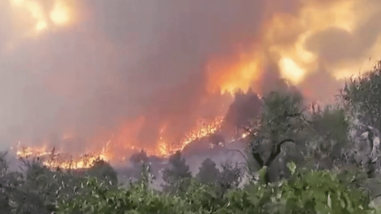 La Palma inflamed by the heat wave