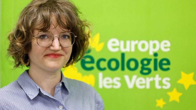 MEP Marie Toussaint named leader of environmentalists