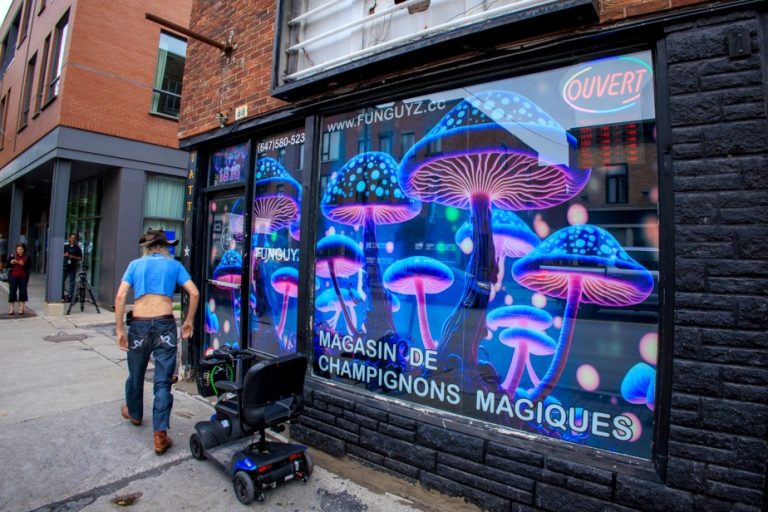 “Magic Mushrooms” |  Illegal sale could hurt social acceptability, experts say