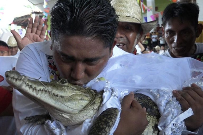 Mexico |  A mayor marries a female caiman during an ancestral ritual