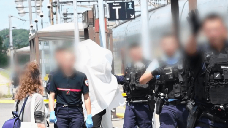 Miscellaneous: a madman controlled by a plainclothes policeman on board a TGV