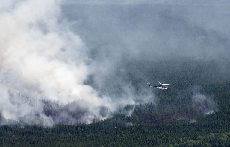 More than 10 million hectares of forest gone up in smoke in Canada