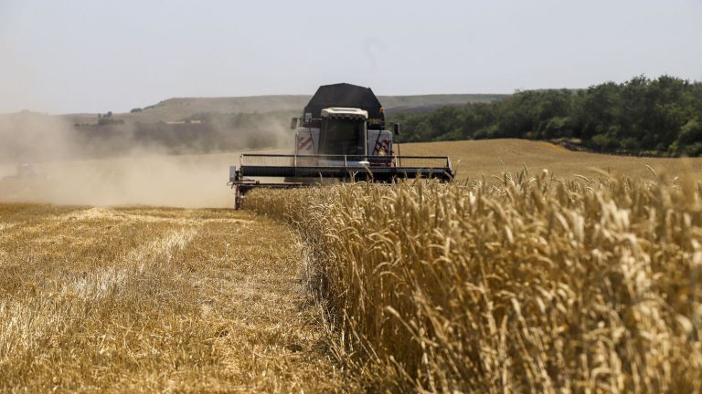 Moscow ends grain deal with kyiv