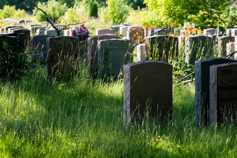 Notre-Dame-des-Neiges Cemetery |  An agreement in principle accepted at 83%