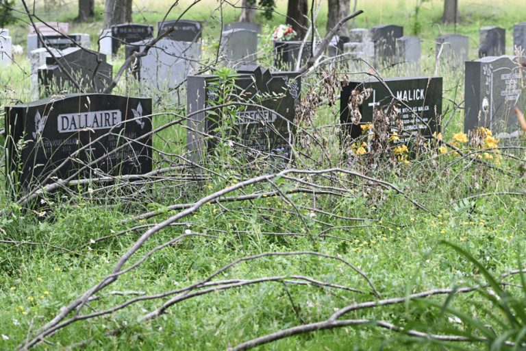 Notre-Dame-des-Neiges Cemetery |  Quebec hopes to appoint an arbitrator by Wednesday