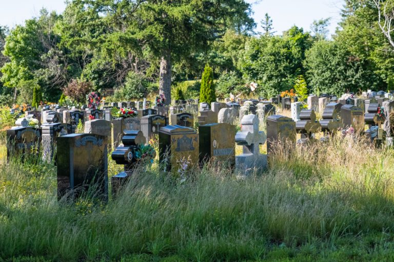 Notre-Dame-des-Neiges Cemetery |  The public will be admitted in September