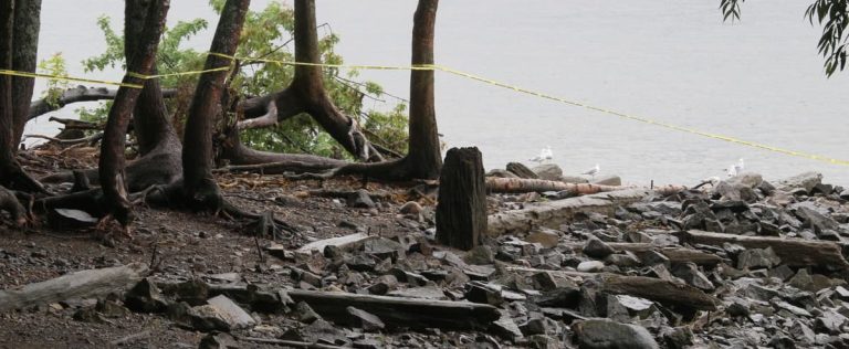 [PHOTOS] Lévis: a body found on the edge of the river