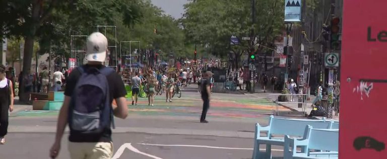 Pedestrian streets: fewer vacant premises on Mont-Royal Avenue