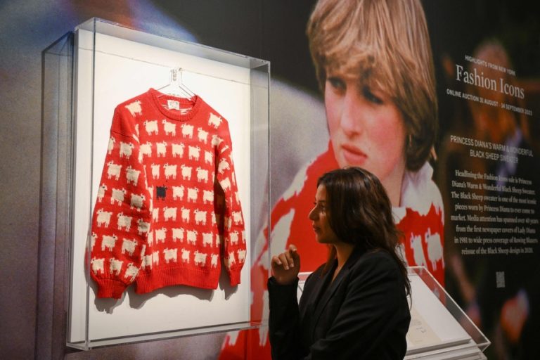 Princess Diana’s Sheep Embellished Sweater Sold at Auction