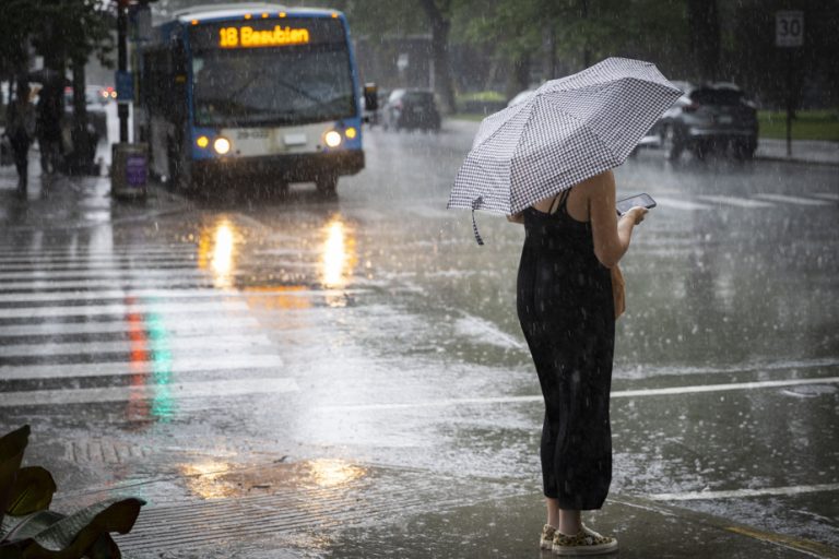 Rain warnings |  Large quantities expected in several regions on Tuesday