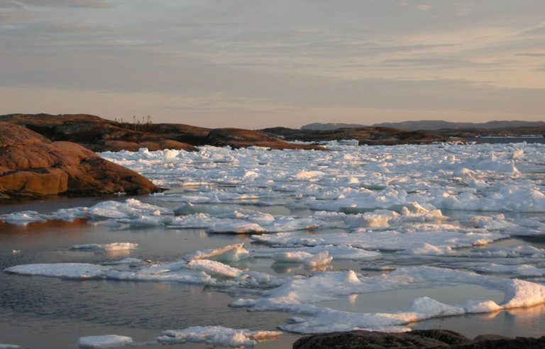 Series Of Skies, Winds, Birds: A Continent in the Wind