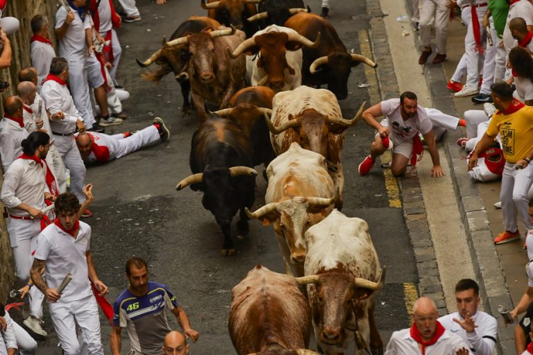 Spain |  Six participants injured in the first release of bulls of San Fermin