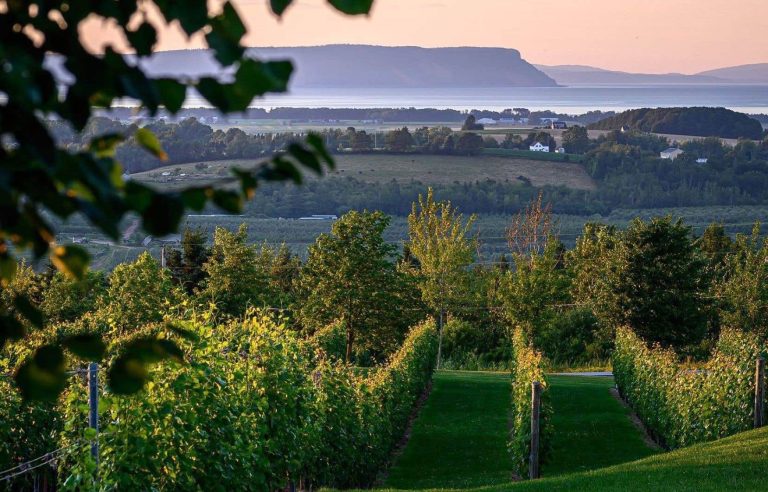 Take the wine route in Nova Scotia