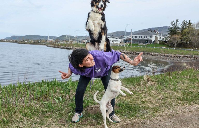 The Flying Team circus presents shows featuring virtuoso dogs