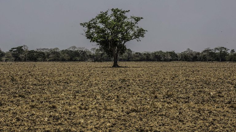 The UN calls for anticipating the consequences of the El Niño weather phenomenon, which begins