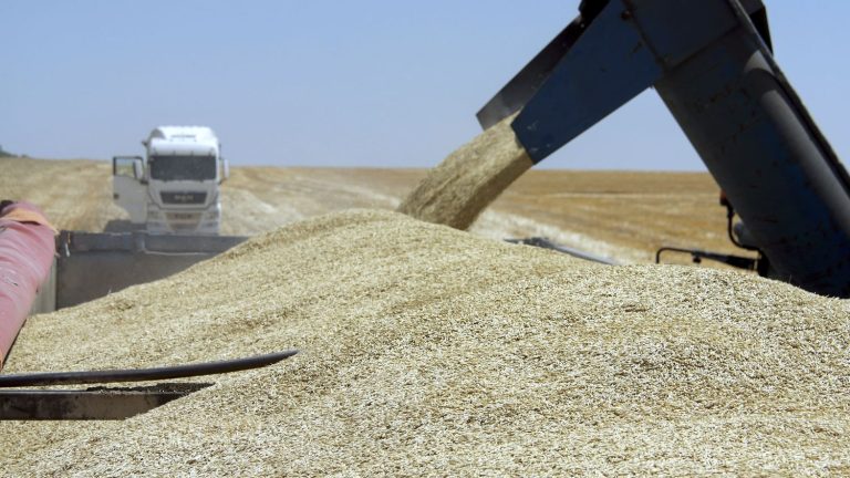 The announced end of the agreement on the export of Ukrainian cereals “generates a phase of uncertainty” likely to lead to “a rise in prices”, according to an expert