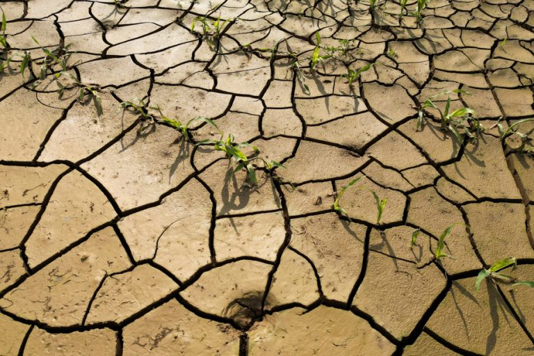 The drought is not receding in France, vigilance for July