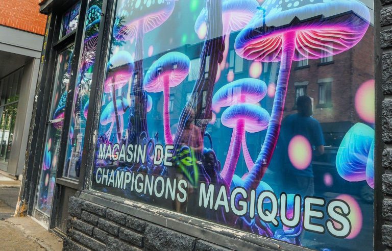 The first magic mushroom store in Quebec intends to stay open