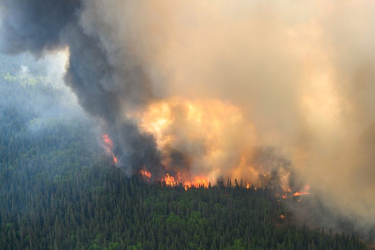 The (many) costs of wildfires in Canada