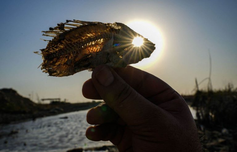 The world experienced the hottest week ever measured in early July 2023, according to the UN