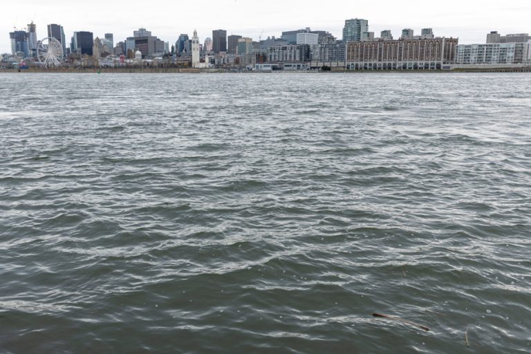 Torrential rains |  The St. Lawrence and the Rivière des Prairies possibly contaminated